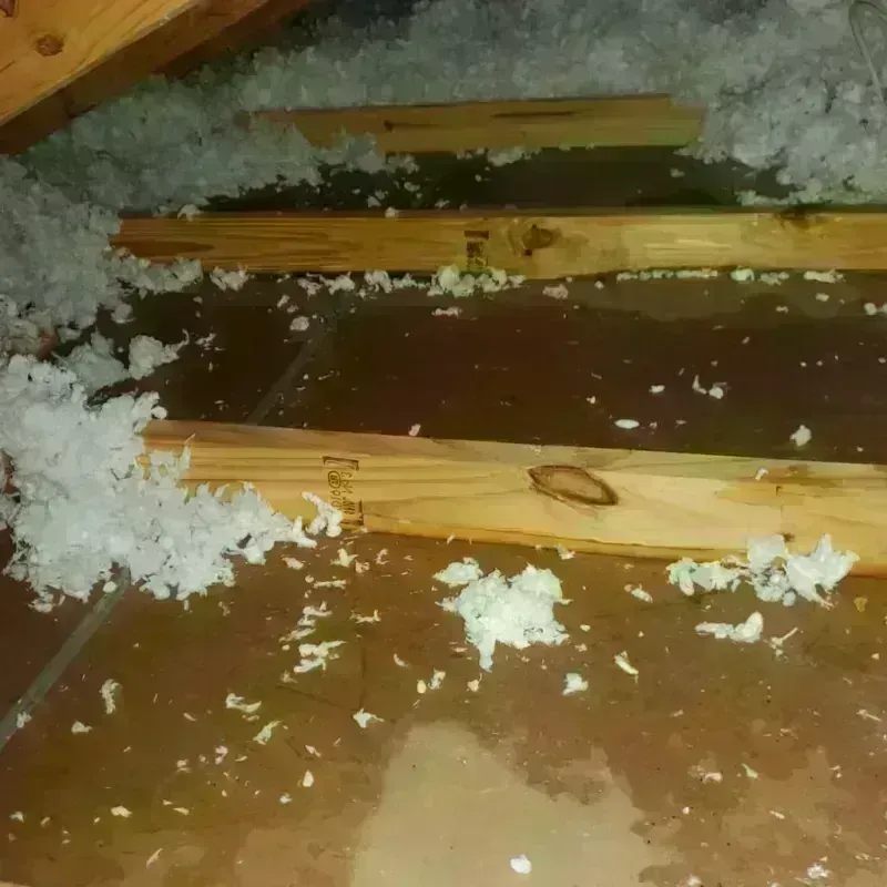 Attic Water Damage in Decatur, IN